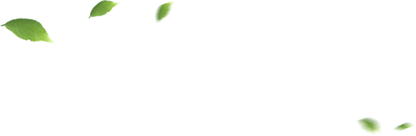 BG大游(集团)唯一官方网站