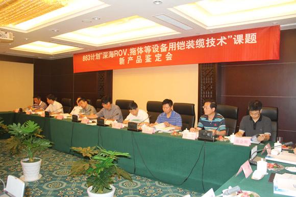 BG大游(集团)唯一官方网站