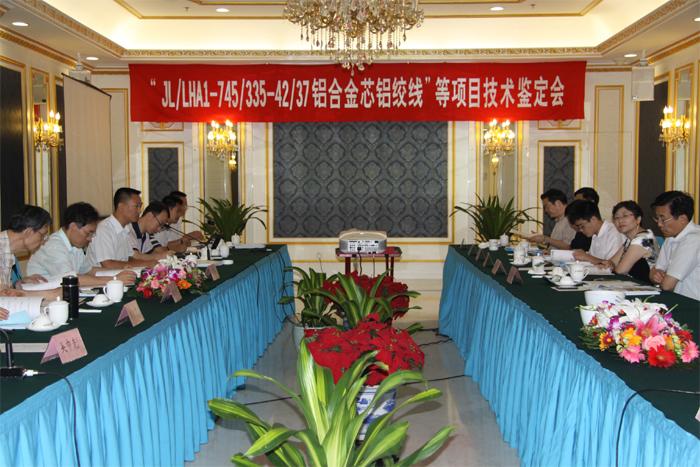 BG大游(集团)唯一官方网站