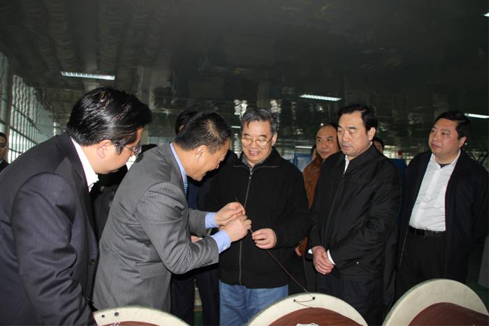 BG大游(集团)唯一官方网站