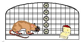 BG大游(集团)唯一官方网站