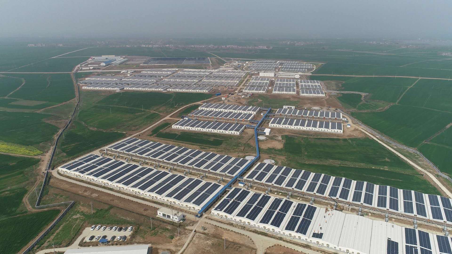 BG大游(集团)唯一官方网站