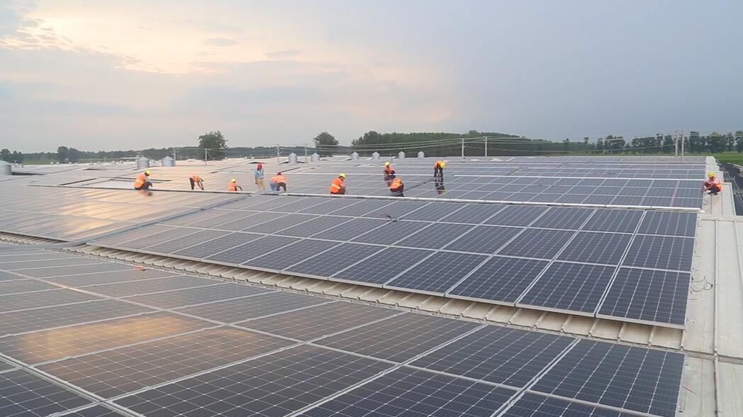 BG大游(集团)唯一官方网站