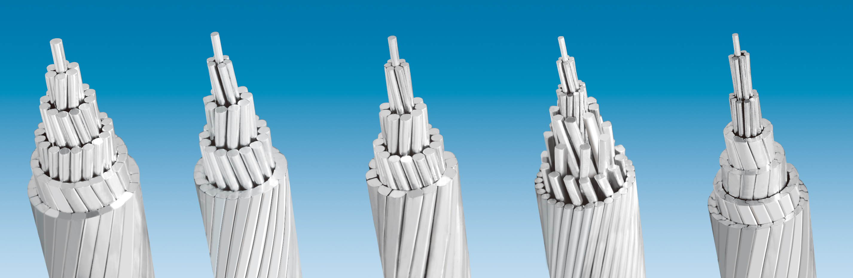 BG大游(集团)唯一官方网站