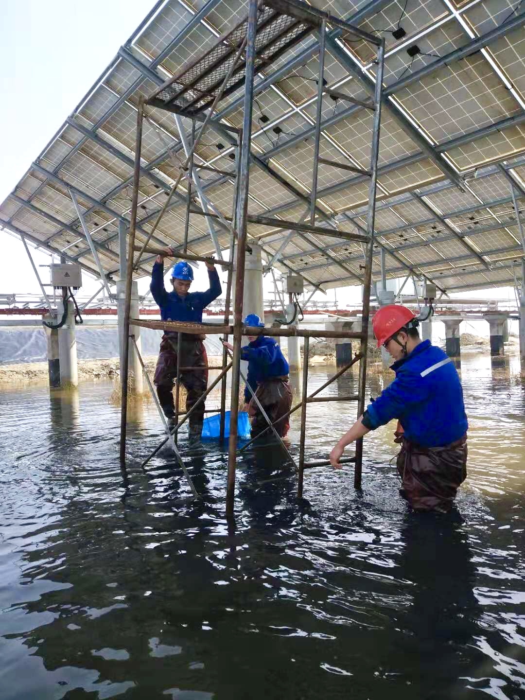 BG大游(集团)唯一官方网站