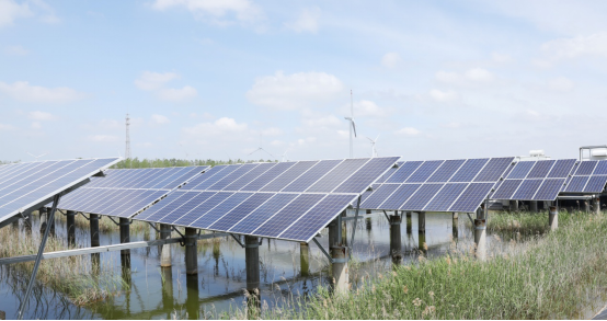 BG大游(集团)唯一官方网站