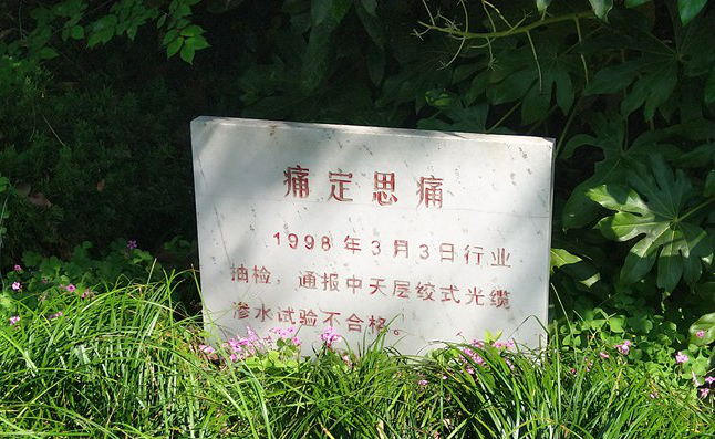 BG大游(集团)唯一官方网站