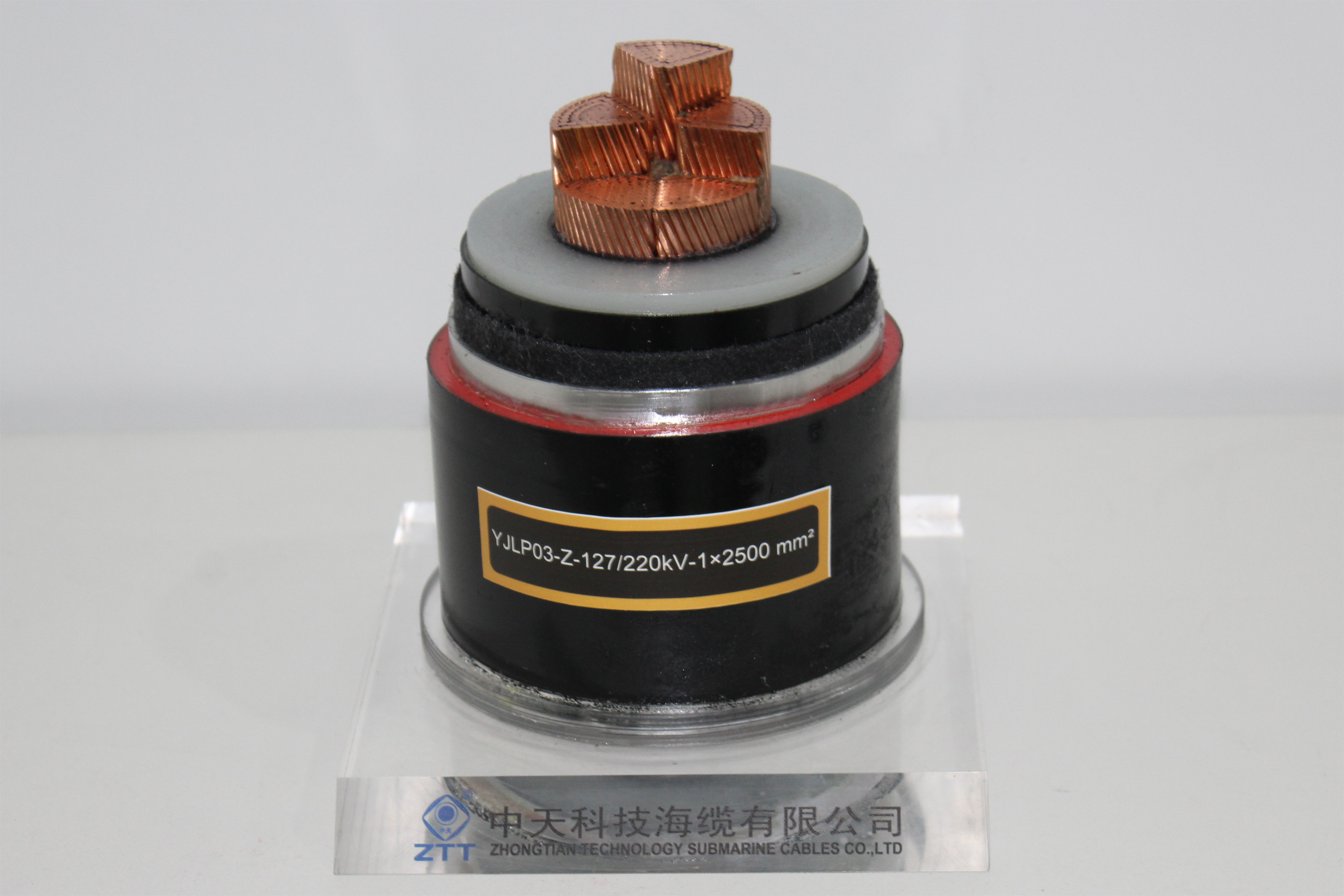 BG大游(集团)唯一官方网站