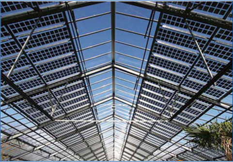 BG大游(集团)唯一官方网站