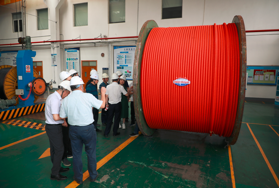 BG大游(集团)唯一官方网站